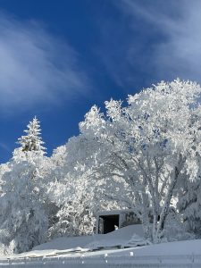 Beauté de la nature à Super Besse en mars