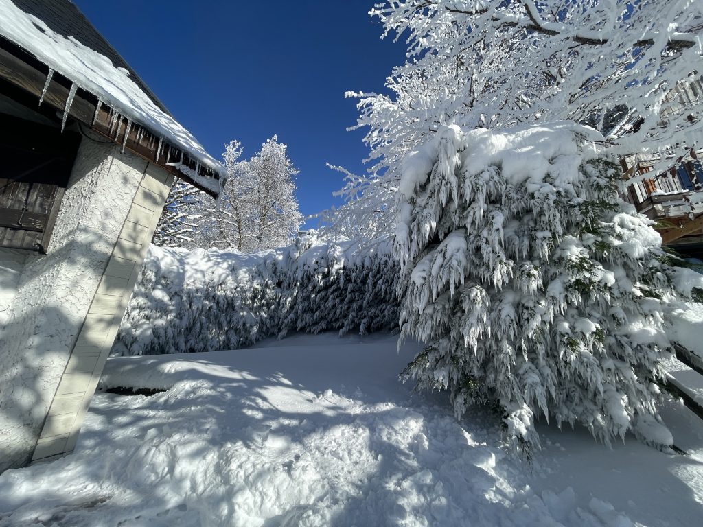 Besse en mars, autour du chalet